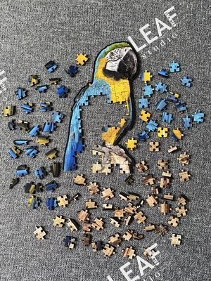 ����� ���������� ������� (����)