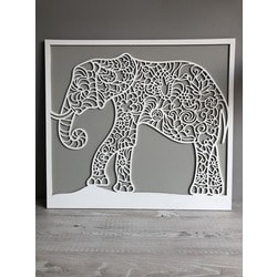 ����� ����, 44�40